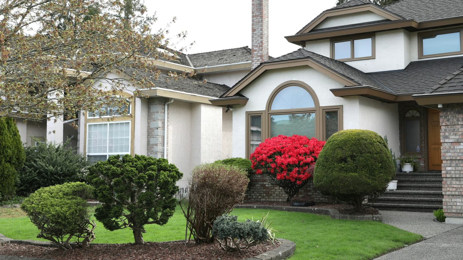 Suburban house with trimmed shrubs, red flowering bush and tidy lawn
